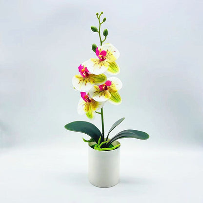 Real Touch Phalaenopsis Orchid - DECO