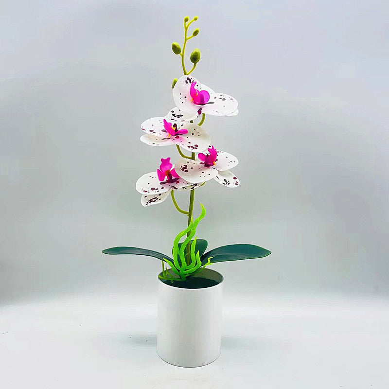 Real Touch Phalaenopsis Orchid - DECO