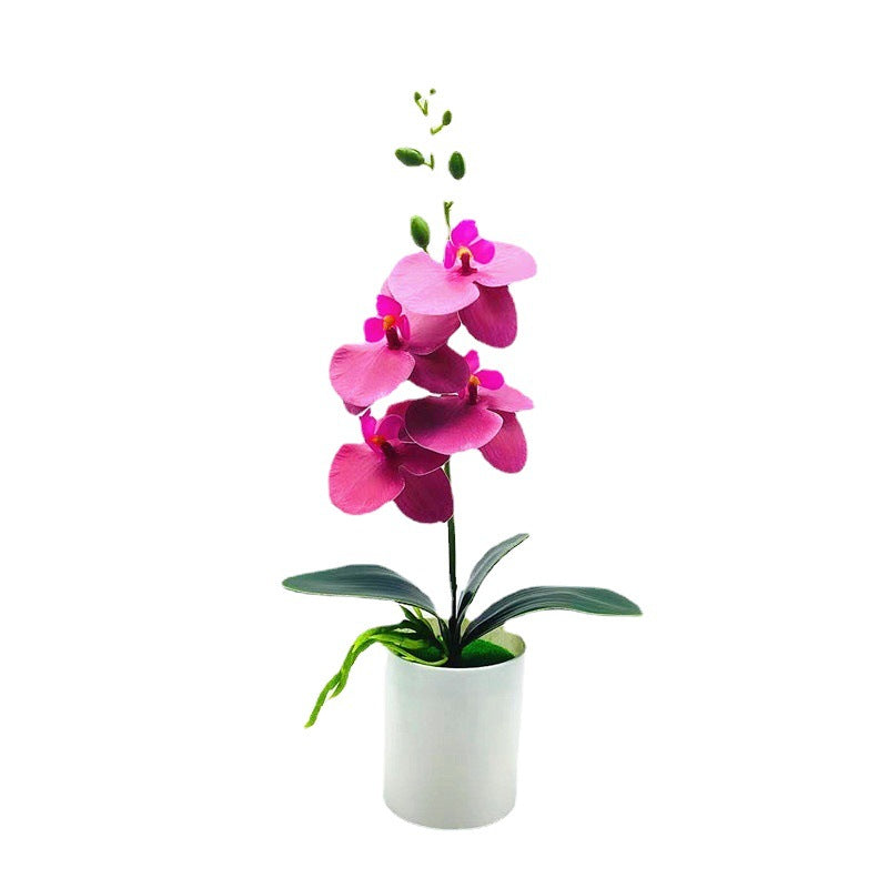 Real Touch Phalaenopsis Orchid - DECO