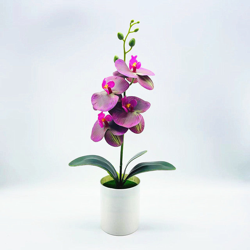 Real Touch Phalaenopsis Orchid - DECO