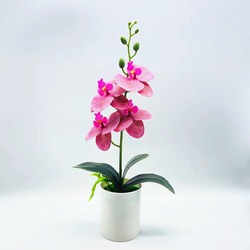 Real Touch Phalaenopsis Orchid - DECO