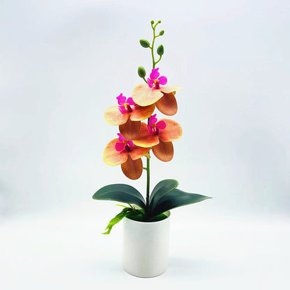 Real Touch Phalaenopsis Orchid - DECO