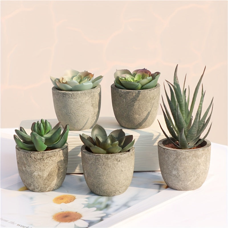 Artificial Succulent Plants (5 pcs) - DECO