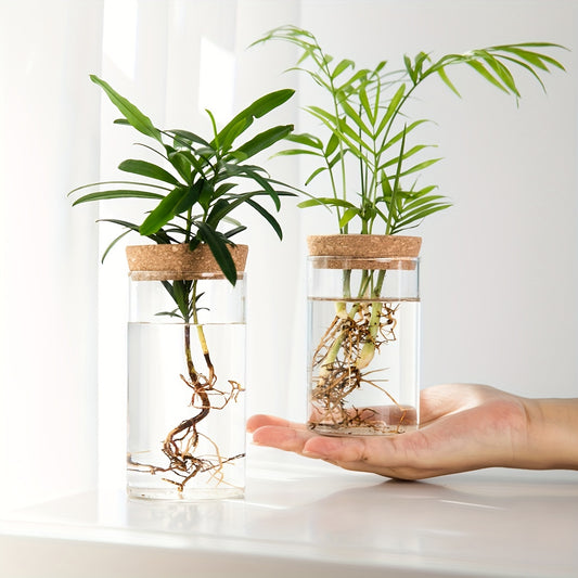 Hydroponics Desktop Glass Planter - DECO