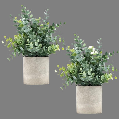 Eucalyptus Artificial Plants Set - DECO