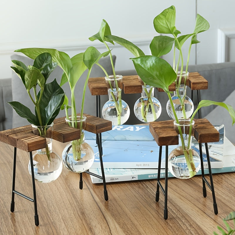 Transparent Glass Hydroponic Vase - DECO