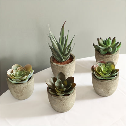 Artificial Succulent Plants (5 pcs) - DECO